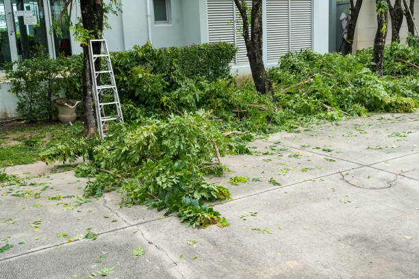 Leaf Removal in Scottdale, PA